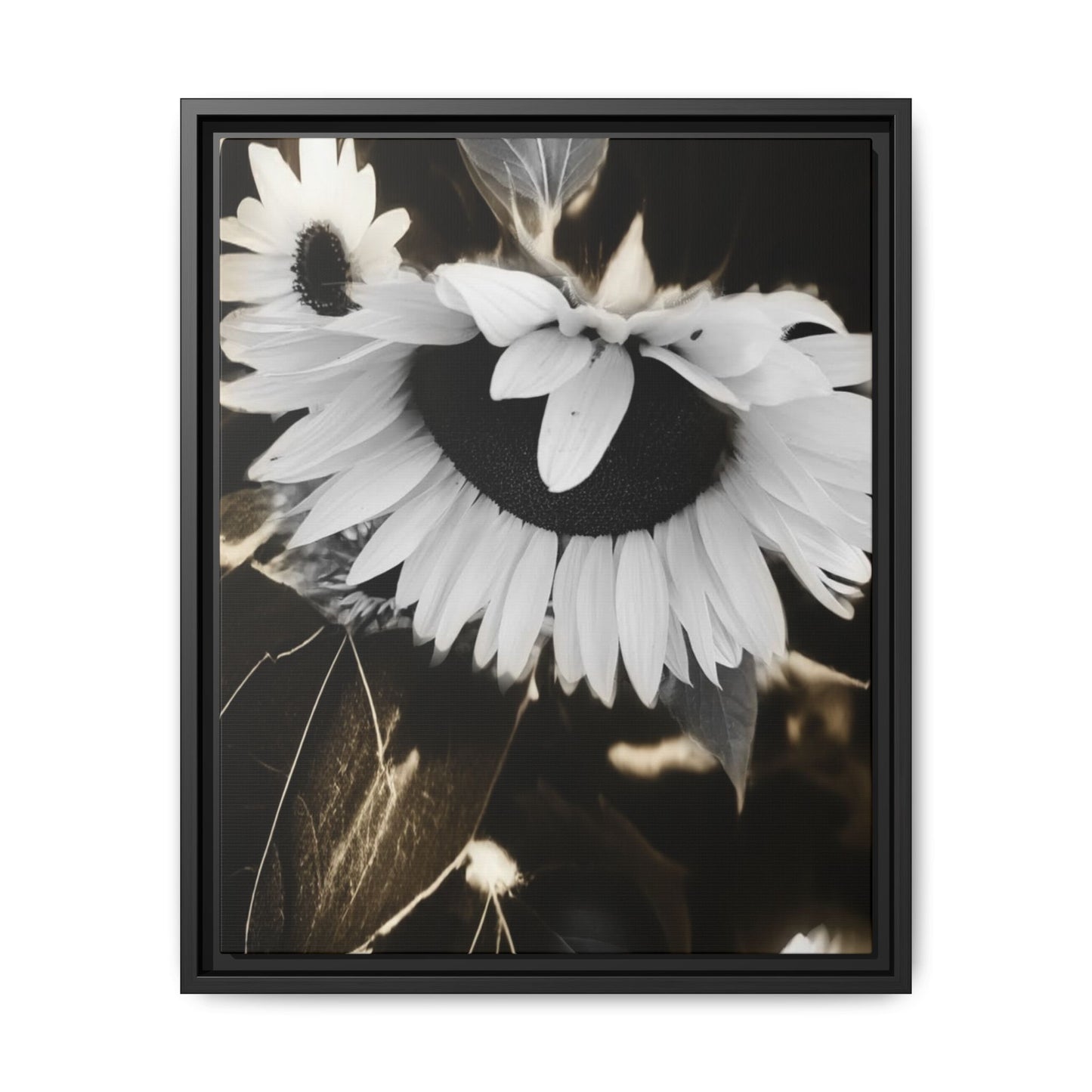 Framed Matte Canvas Print — Monochrome Sunflower Wall Art